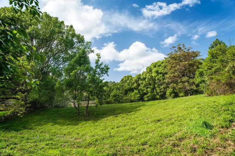 Lot 1/1-5 Hyde St FERNMOUNT NSW, Fernmount - Thumbnail 5