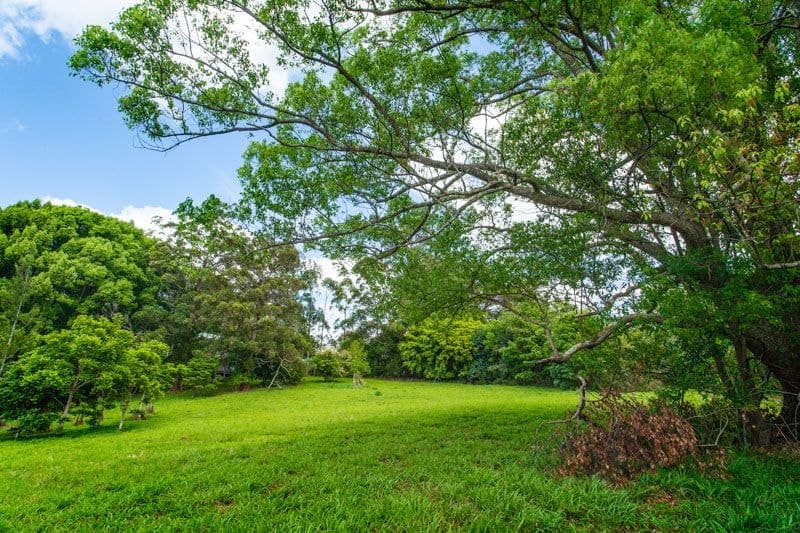 Lot 1/1-5 Hyde St FERNMOUNT NSW, Fernmount - Thumbnail 6