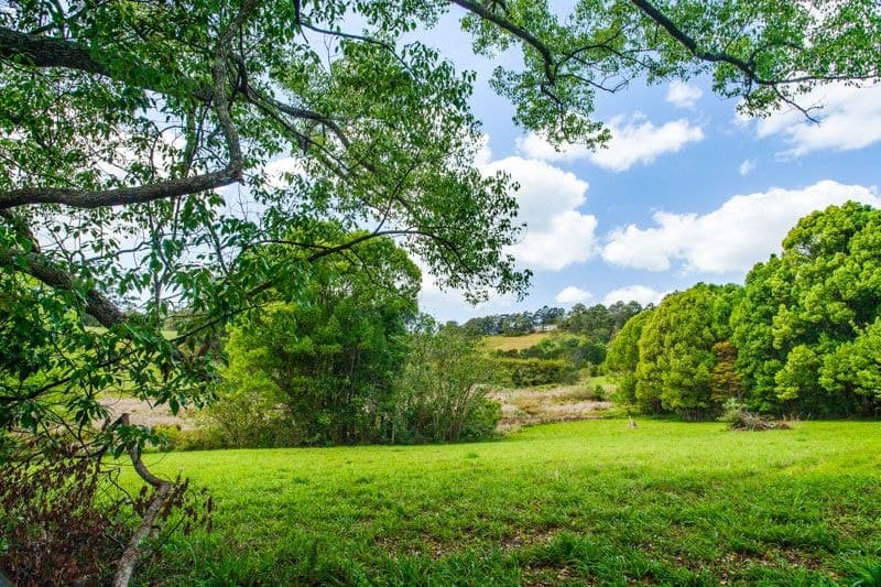 Lot 1/1-5 Hyde St FERNMOUNT NSW, Fernmount - Thumbnail 7