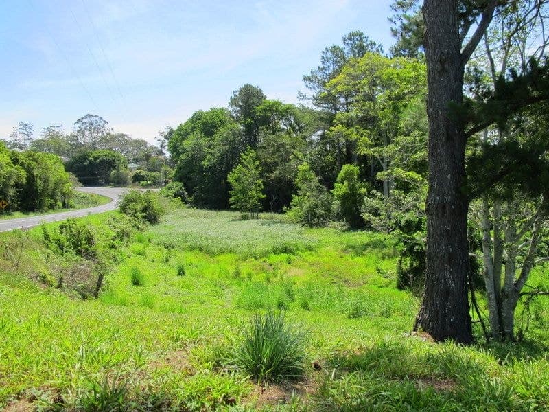 2 Tyson Street FERNMOUNT NSW, Fernmount - Thumbnail 2