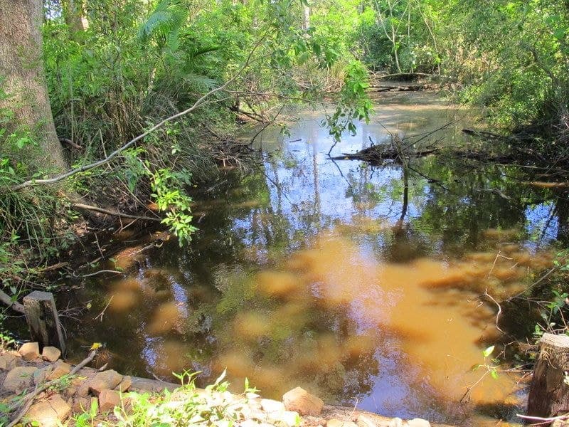 2 Tyson Street FERNMOUNT NSW, Fernmount - Thumbnail 5