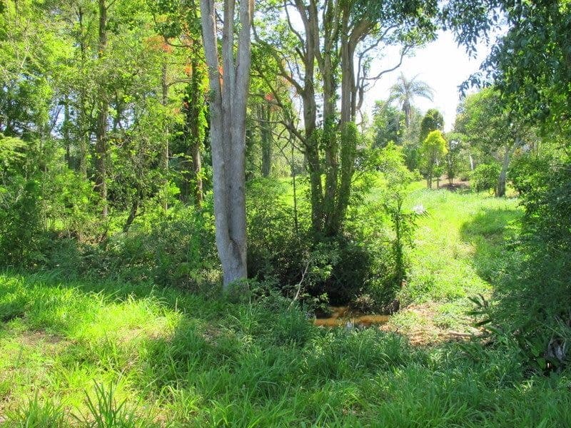 2 Tyson Street FERNMOUNT NSW, Fernmount - Thumbnail 6