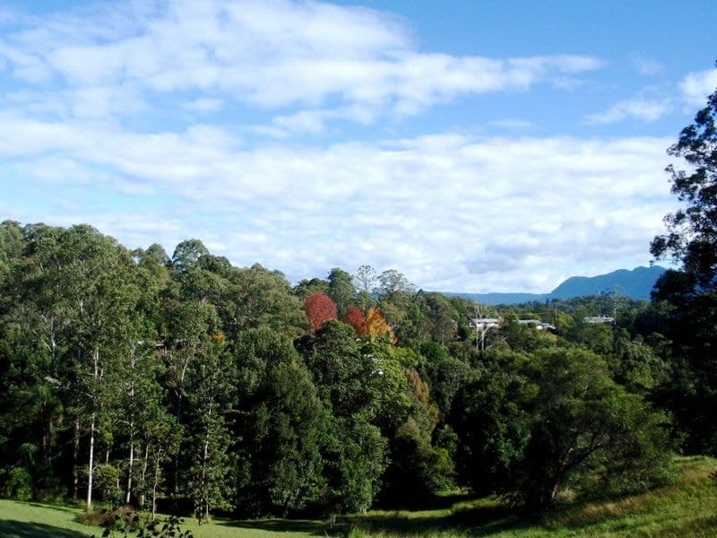 24 Endeavour Dr BELLINGEN NSW, Bellingen - Thumbnail 8