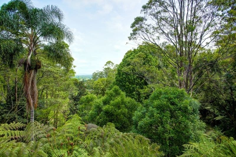 2 Tuckers Rock Rd REPTON NSW, Repton - Thumbnail 3