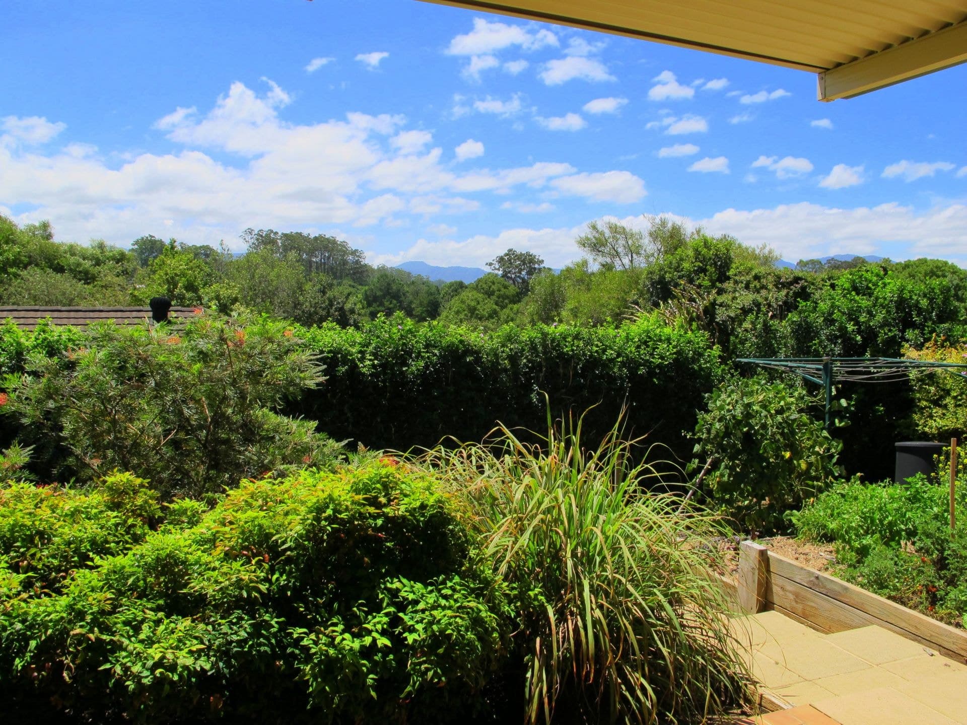 2 Figwood Drive BELLINGEN NSW, Bellingen - Thumbnail 3