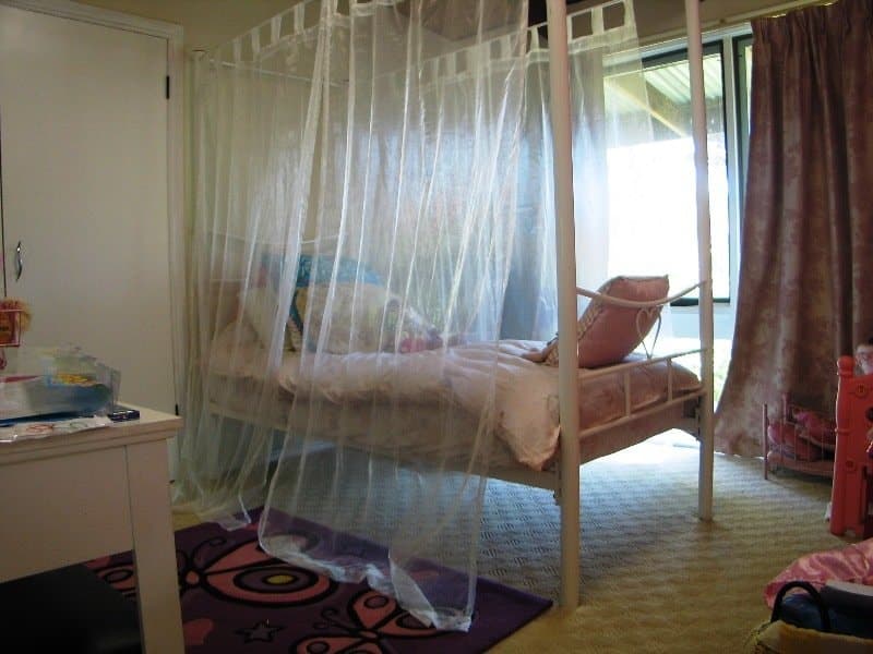 98 The Domain, NERANG  QLD  4211, Nerang - Thumbnail 5