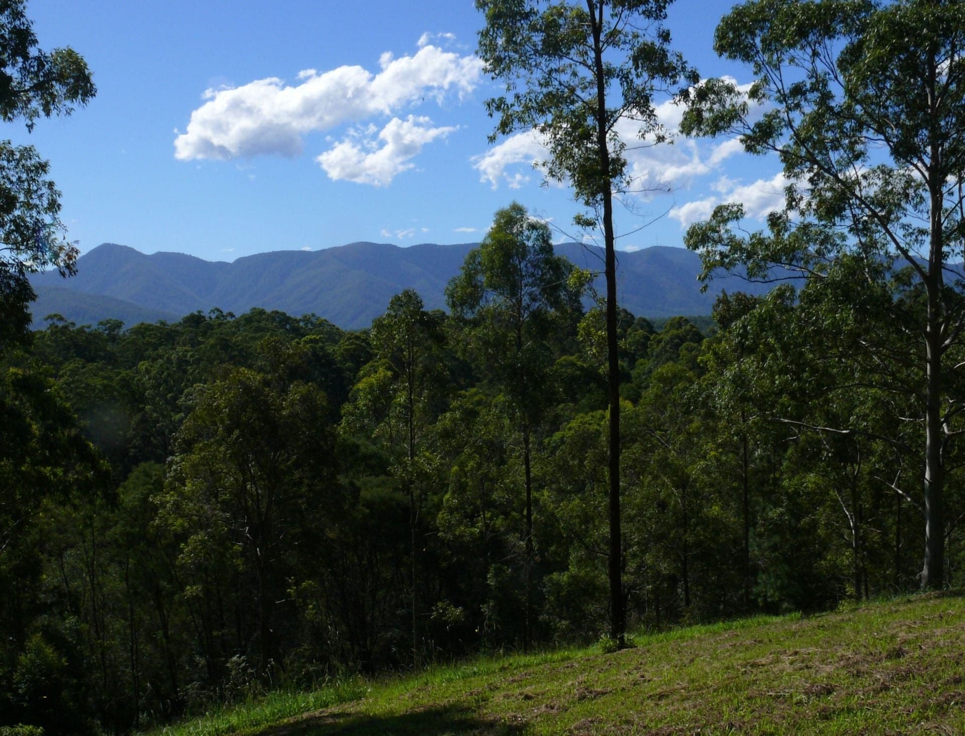 121 Scotchman Rd BELLINGEN NSW, Bellingen - Image 1