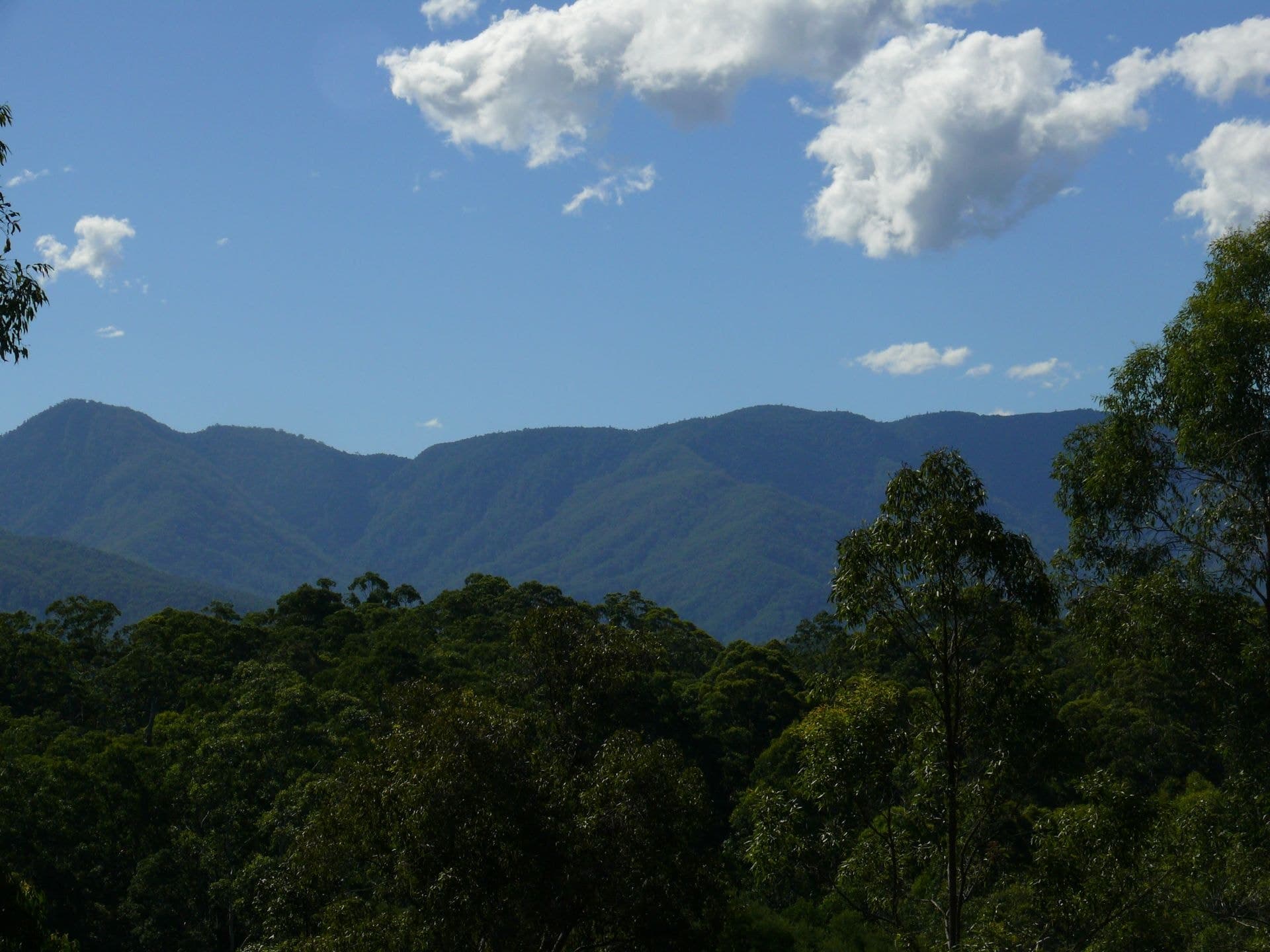 121 Scotchman Rd BELLINGEN NSW, Bellingen - Thumbnail 2