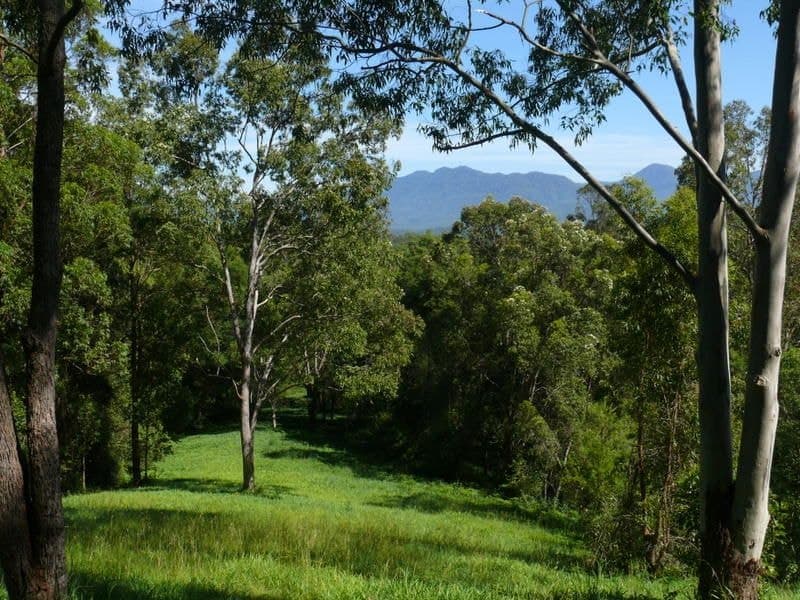 121 Scotchman Rd BELLINGEN NSW, Bellingen - Thumbnail 4