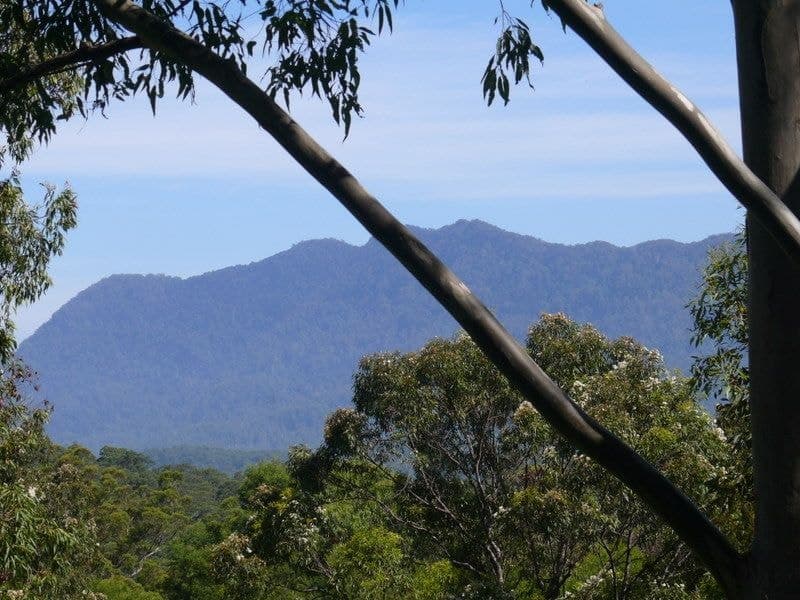 121 Scotchman Rd BELLINGEN NSW, Bellingen - Thumbnail 6