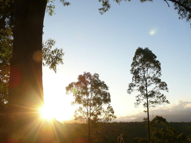 121 Scotchman Rd BELLINGEN NSW, Bellingen - Thumbnail 8