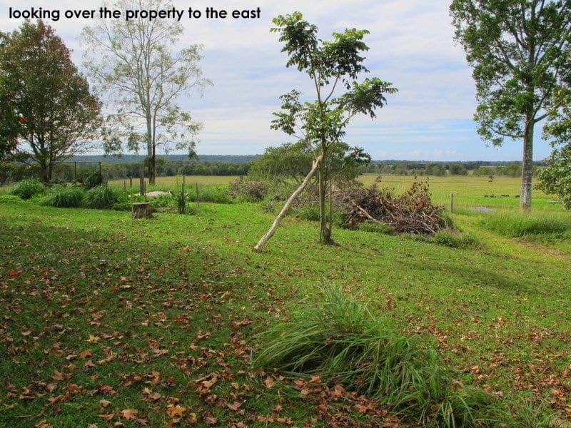 31 Old Pacific Highway RALEIGH NSW, Raleigh - Thumbnail 7