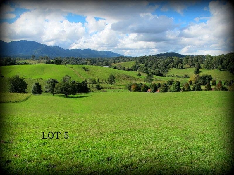 285/Lot 5 Crawford Close BELLINGEN NSW, Bellingen - Thumbnail 4