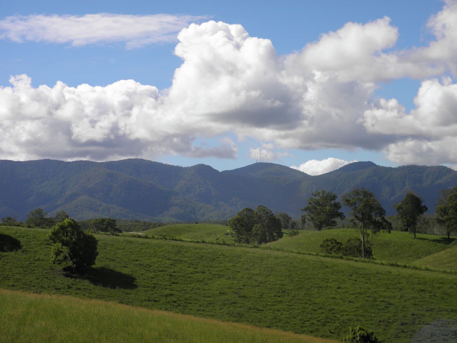 285/Lot 5 Crawford Close BELLINGEN NSW, Bellingen - Thumbnail 5