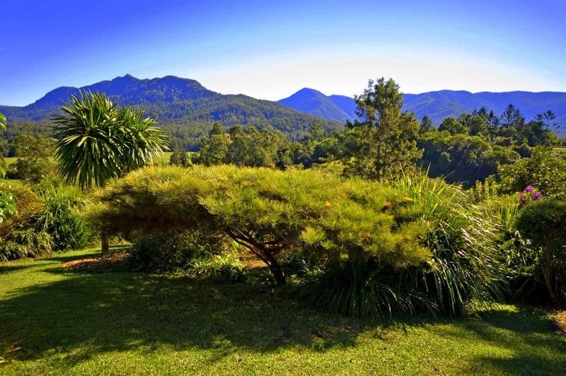 343 Roses Rd Gleniffer BELLINGEN NSW, Bellingen - Image 1