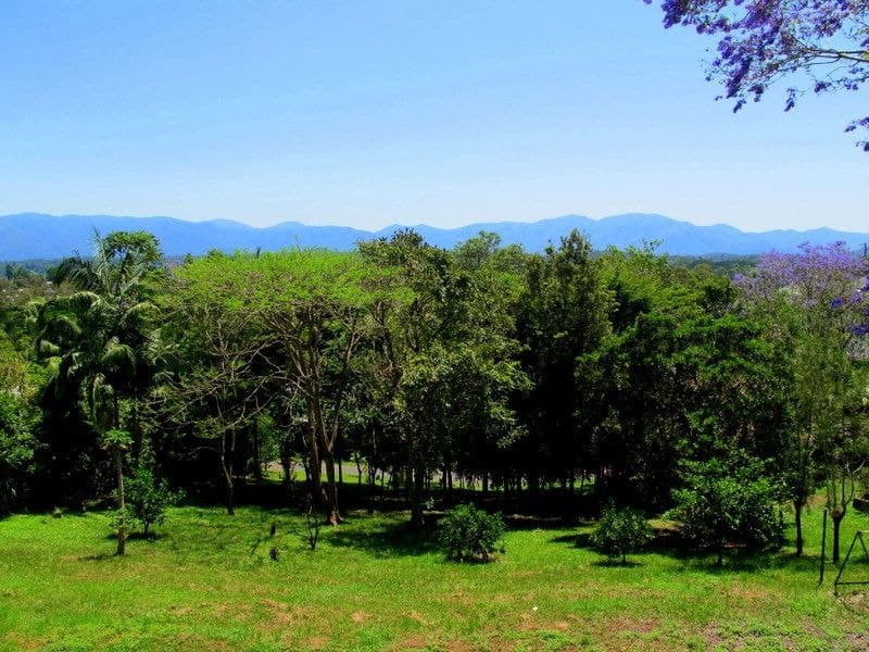 1-3 Dudley St BELLINGEN NSW, Bellingen - Image 1
