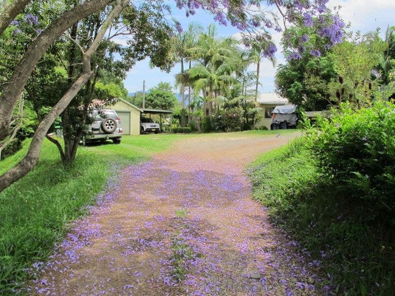 1-3 Dudley St BELLINGEN NSW, Bellingen - Thumbnail 5