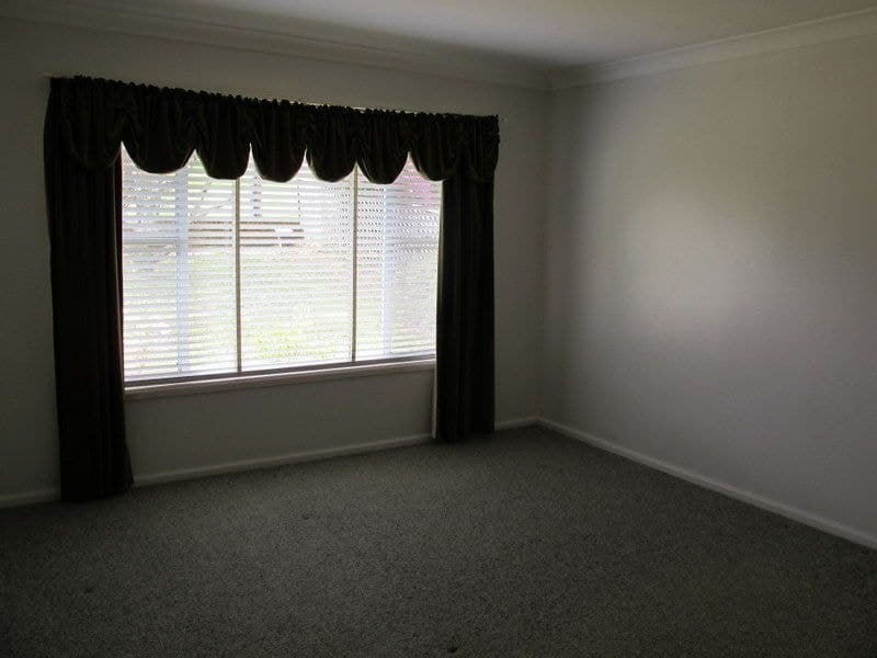 59 Myrtle Street DORRIGO NSW, Dorrigo - Thumbnail 8