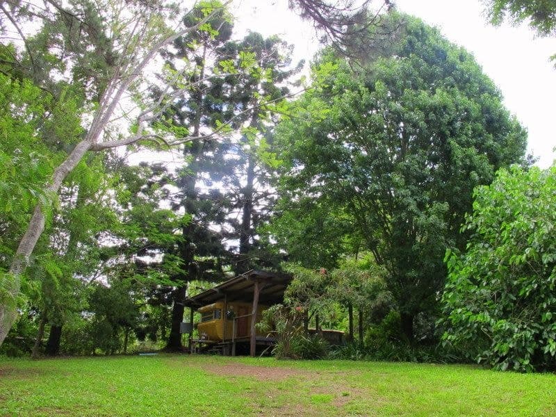 48A Wheatley St BELLINGEN NSW, Bellingen - Image 1