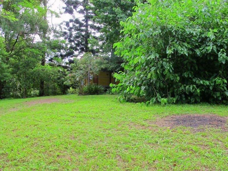 48A Wheatley St BELLINGEN NSW, Bellingen - Thumbnail 6