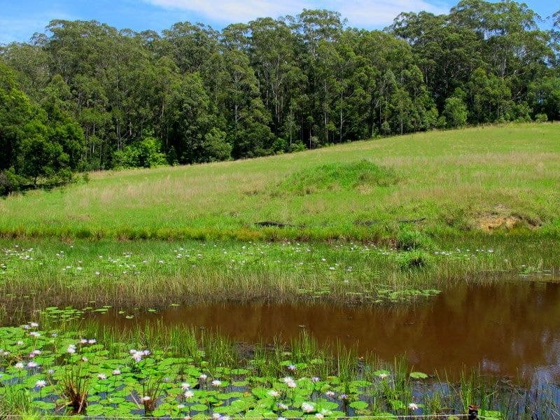 Lot 5 Hollings Close VALLA NSW, Valla - Thumbnail 3