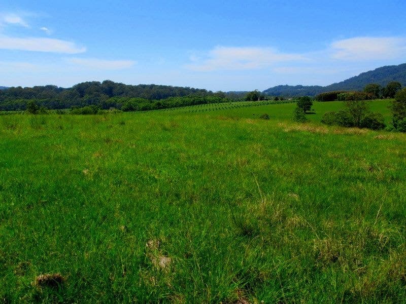 Lot 5 Hollings Close VALLA NSW, Valla - Thumbnail 5