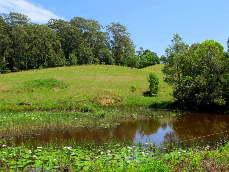 Lot 5 Hollings Close VALLA NSW, Valla - Thumbnail 8