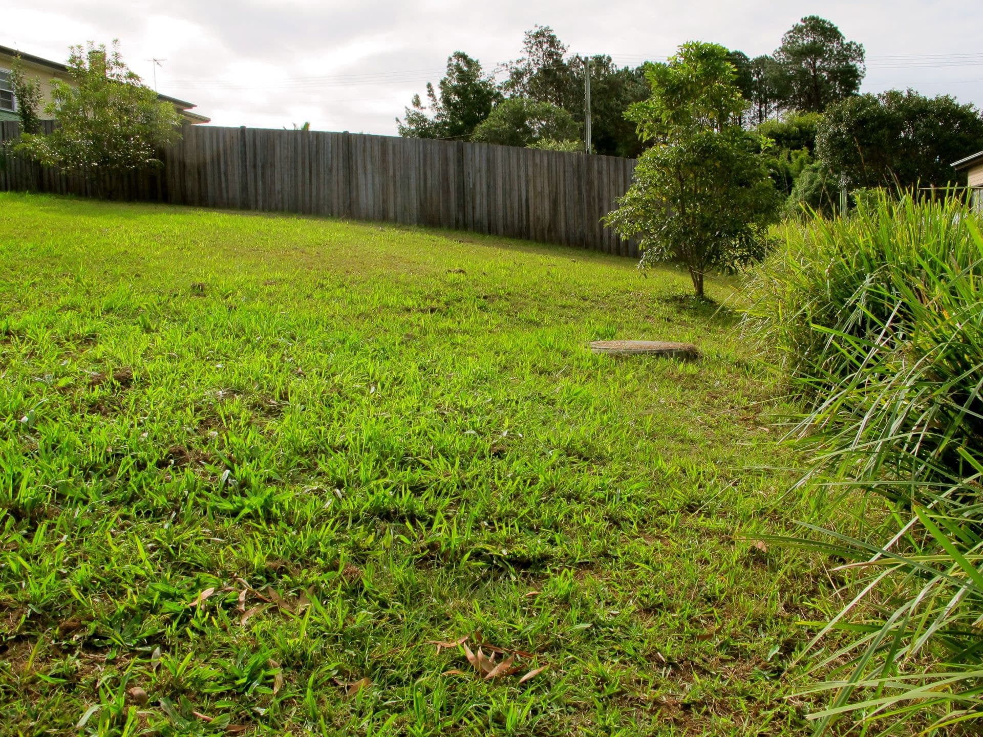 47A Wheatley St BELLINGEN NSW, Bellingen - Thumbnail 2