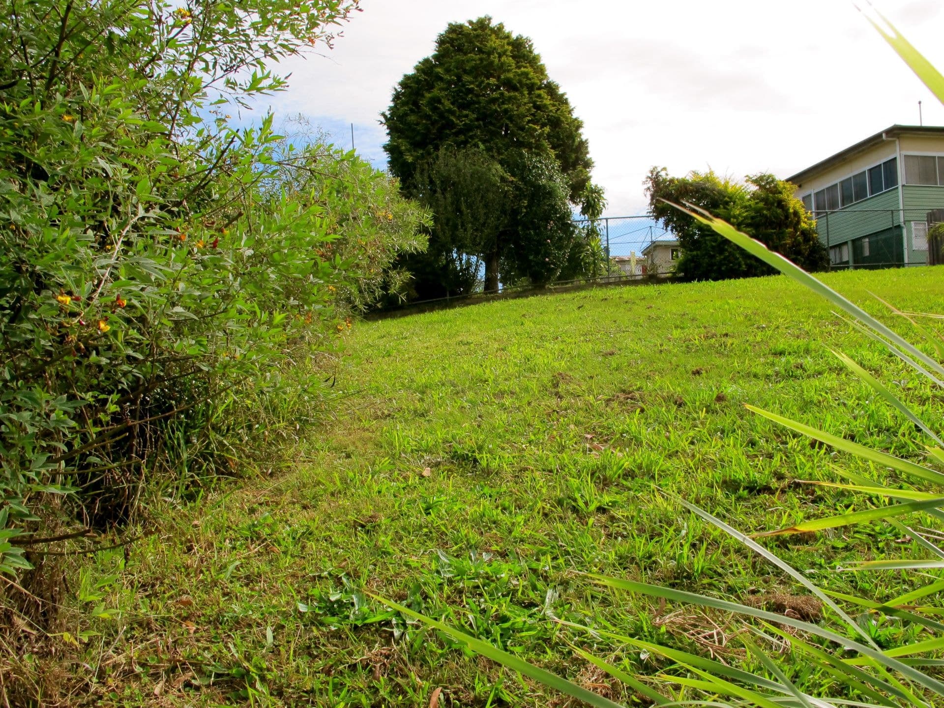 47A Wheatley St BELLINGEN NSW, Bellingen - Thumbnail 4
