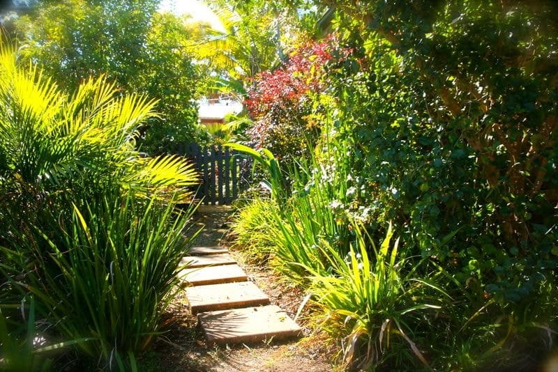 2 Woodbury Lane BELLINGEN NSW, Bellingen - Thumbnail 6