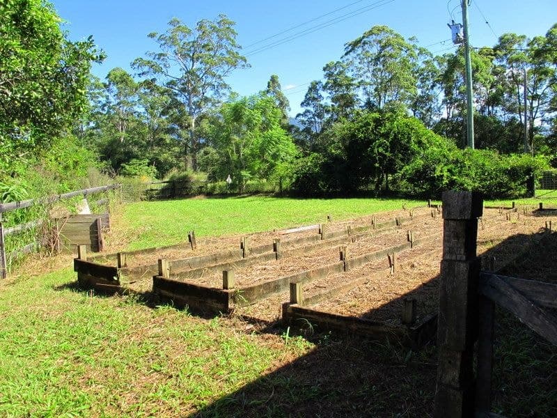 1701 Waterfall Way BELLINGEN NSW, Bellingen - Thumbnail 5