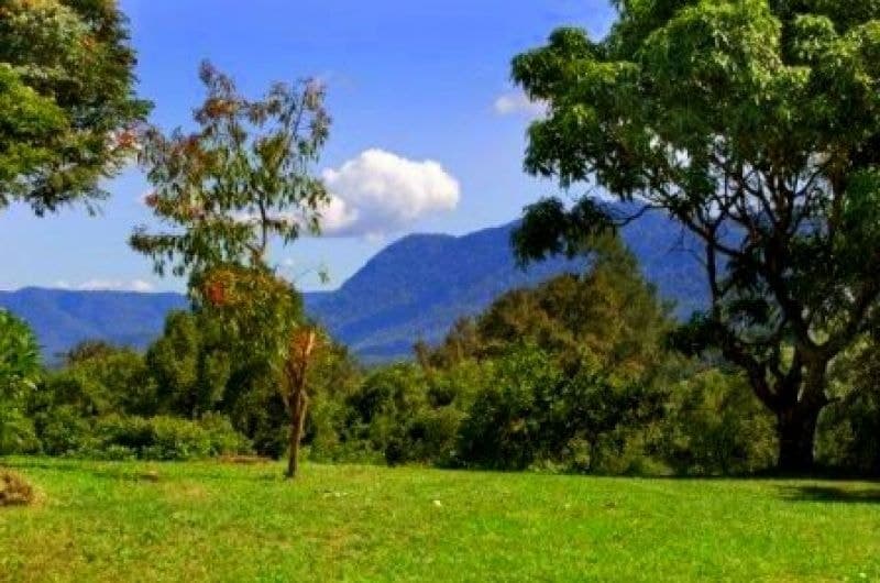 9 Sunset Ridge Dr BELLINGEN NSW, Bellingen - Image 1