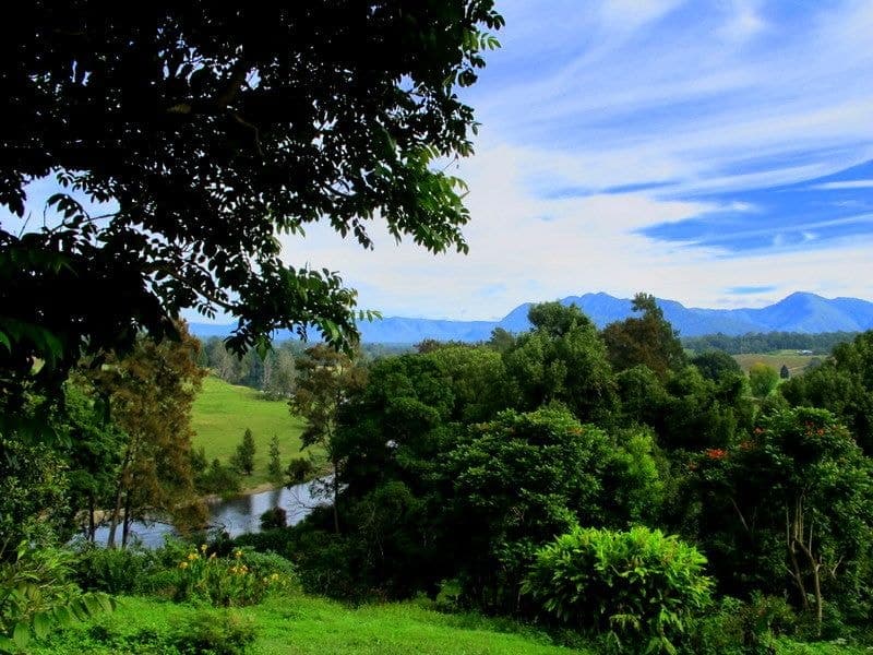 9 Sunset Ridge Dr BELLINGEN NSW, Bellingen - Thumbnail 3