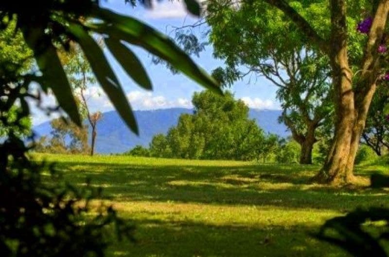 9 Sunset Ridge Dr BELLINGEN NSW, Bellingen - Thumbnail 4