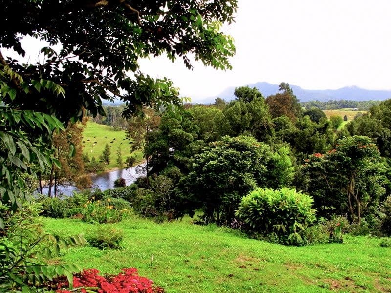 9 Sunset Ridge Dr BELLINGEN NSW, Bellingen - Thumbnail 5