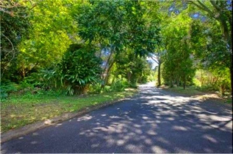 9 Sunset Ridge Dr BELLINGEN NSW, Bellingen - Thumbnail 6