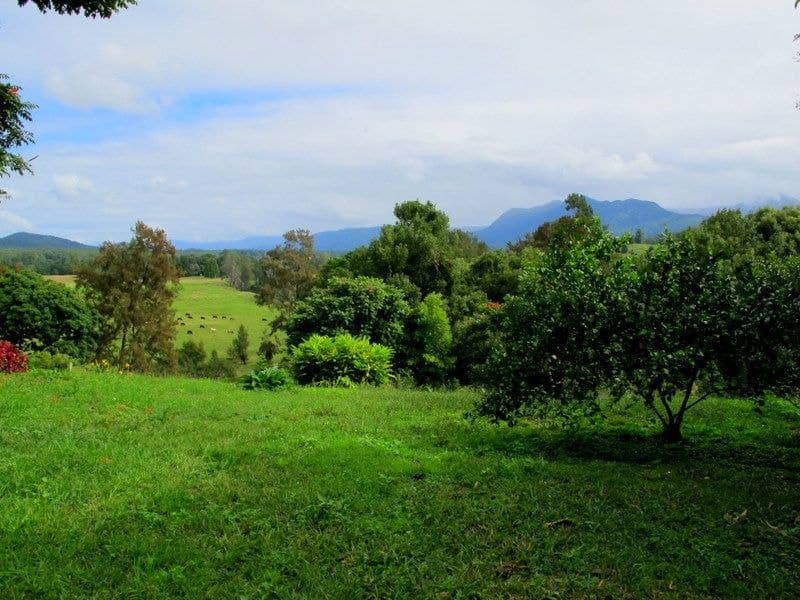9 Sunset Ridge Dr BELLINGEN NSW, Bellingen - Thumbnail 8