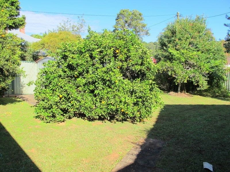 2/16 William Street BELLINGEN NSW, Bellingen - Thumbnail 3
