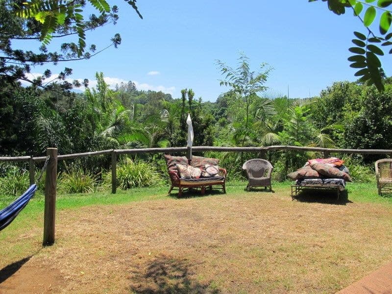 3 Short Street BELLINGEN NSW, Bellingen - Thumbnail 6