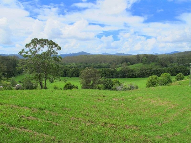 528 Bowraville Road BELLINGEN NSW, Bellingen - Image 1