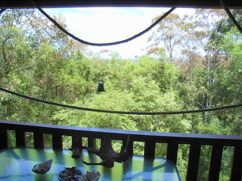 50 Tuckers Rock Road REPTON NSW, Repton - Thumbnail 6