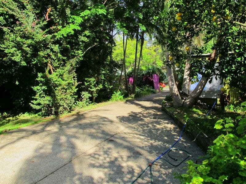 229/242 Bowraville Rd Missabotti BELLINGEN NSW, Bellingen - Thumbnail 3