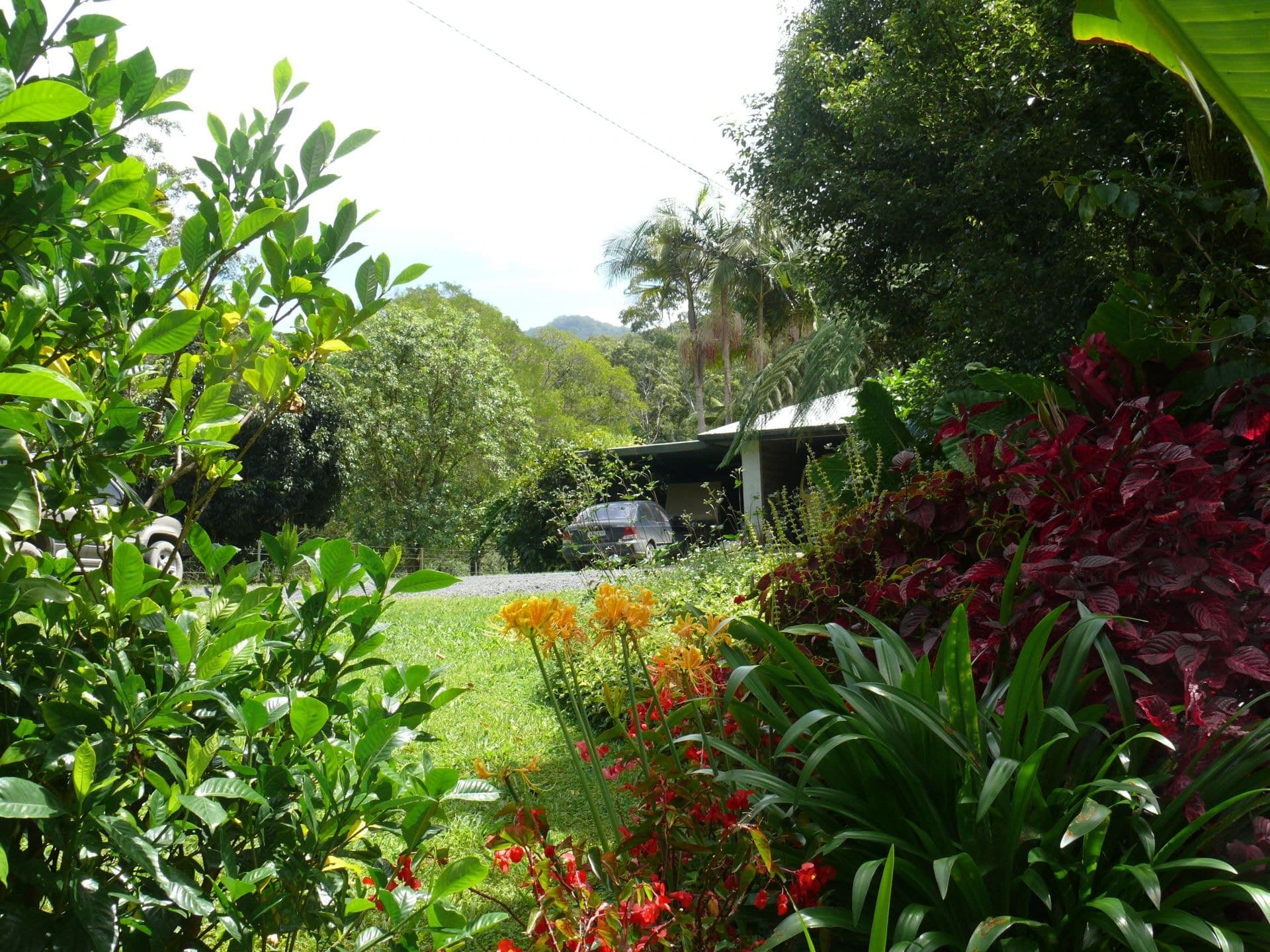 20 Sunset Ridge Drive BELLINGEN NSW, Bellingen - Image 1