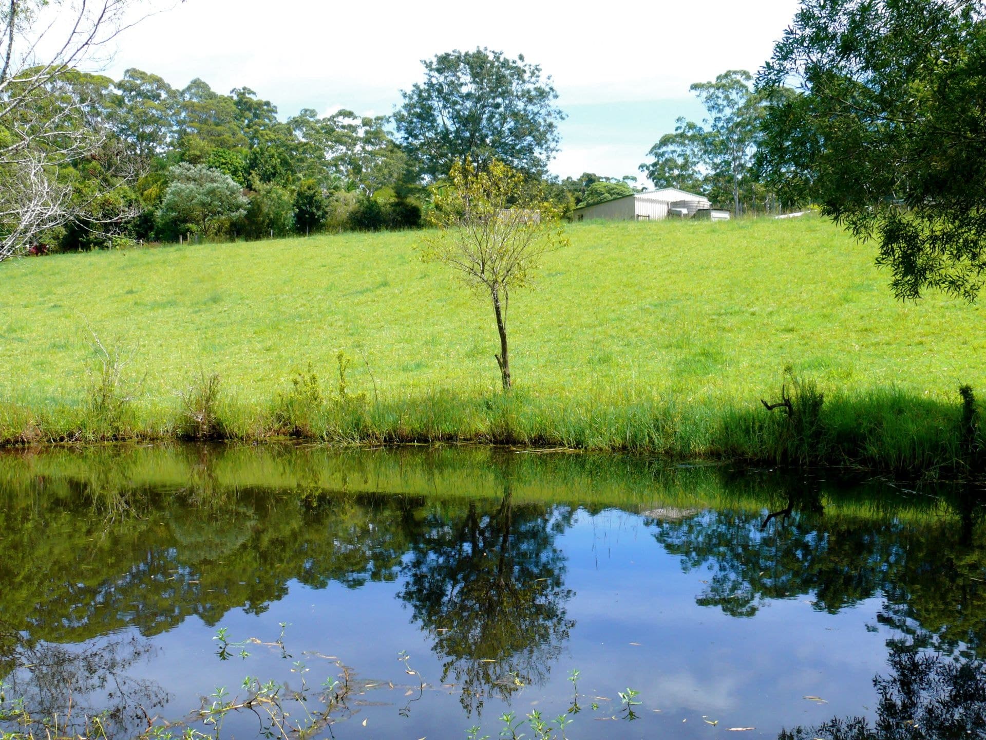 20 Sunset Ridge Drive BELLINGEN NSW, Bellingen - Thumbnail 4