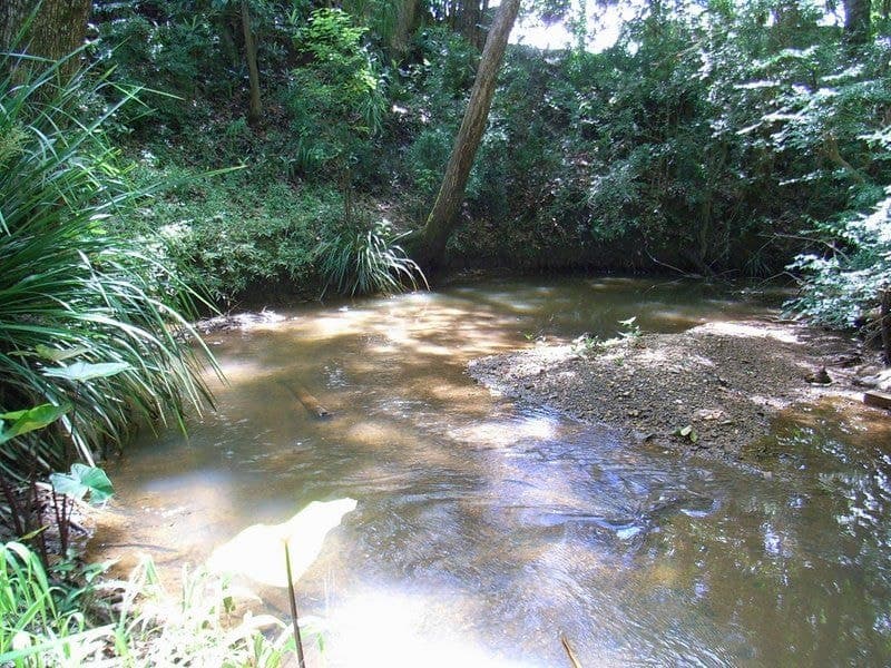 4 Prince Street BELLINGEN NSW, Bellingen - Thumbnail 4