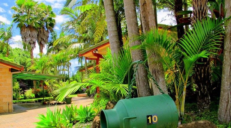 10 Raymond Close BELLINGEN NSW, Bellingen - Thumbnail 5
