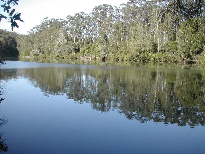 358 South Arm Road Raleigh BELLINGEN NSW, Bellingen - Thumbnail 2