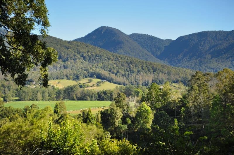 309 Roses Rd Gleniffer BELLINGEN NSW, Bellingen - Thumbnail 3