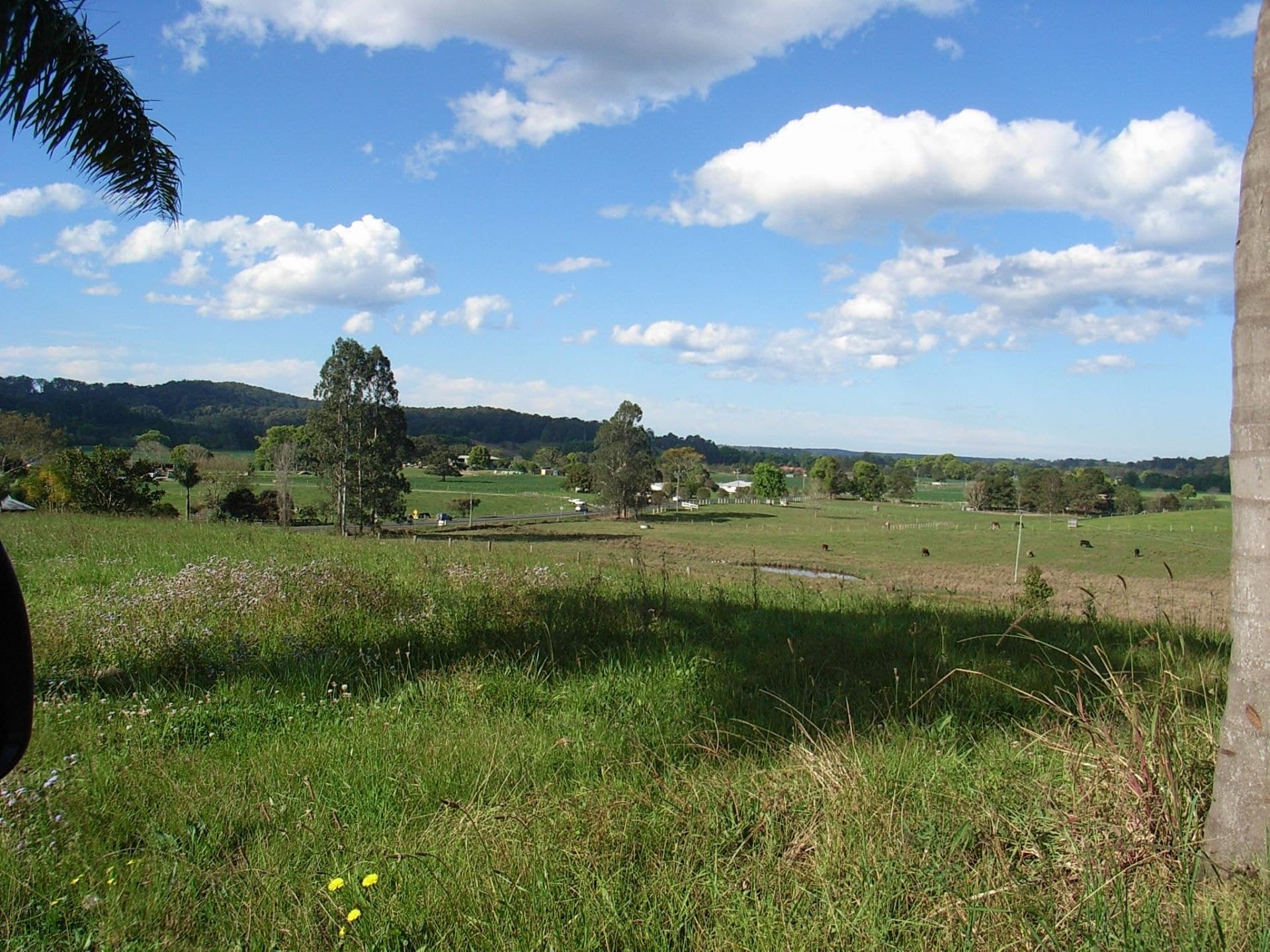 661 WaterFall Way Fernmount BELLINGEN NSW, Fernmount Bellingen - Image 1