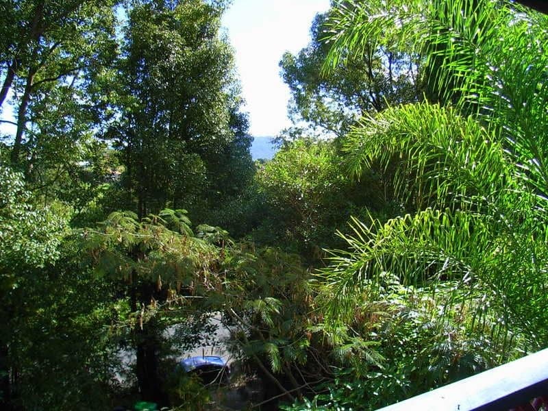 17 Lyon Street BELLINGEN NSW, Bellingen - Thumbnail 3